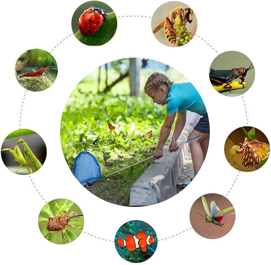 Kids Telescopic Butterfly Fishing Nets Perfect Outdoor Tools Colorful for Catching Insects Bugs Fish Ladybird Caterpillar Nets Extendable 34" Inch and Anti Slip Grip - Image 5